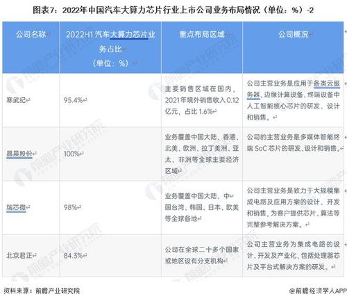 2023年中國(guó)汽車大算力芯片行業(yè)競(jìng)爭(zhēng)格局與市場(chǎng)份額深度洞察